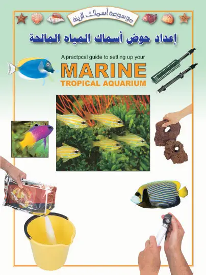 إعداد حوض أسماك المياه المالحة
