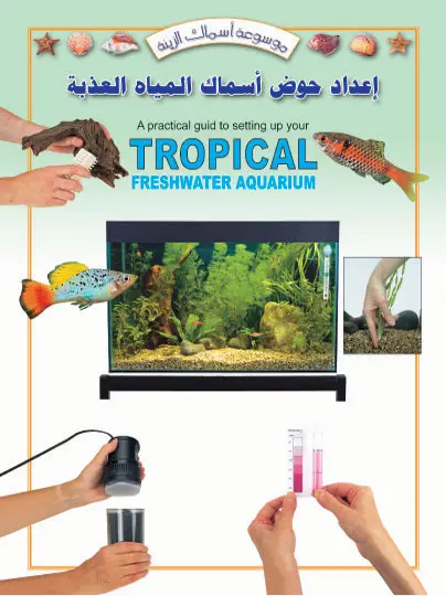 إعداد حوض اسماك المياه العذبة