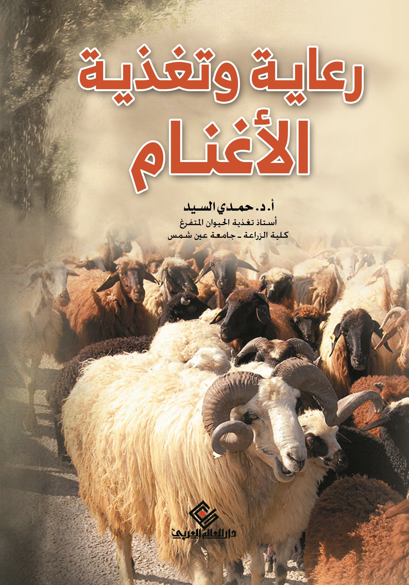 رعاية وتغذية الاغنام